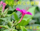 Published on 9/19/2013 ֹ,½󷨵ӹףʦ(35)
