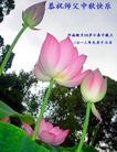 Published on 9/19/2013 ֹ,½󷨵ӹףʦ(32)
