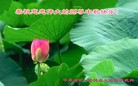 Published on 9/19/2013 ֹ,½󷨵ӹףʦ(31)

