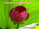 Published on 9/19/2013 ֹ,½󷨵ӹףʦ(31)
