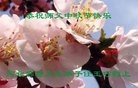 Published on 9/19/2013 ֹ,½󷨵ӹףʦ(31)
