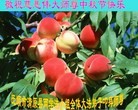 Published on 9/19/2013 ֹ,½󷨵ӹףʦ(66)
