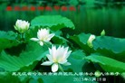 Published on 9/19/2013 ֹ,½󷨵ӹףʦ(48)

