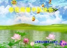 Published on 9/19/2013 ֹ,½󷨵ӹףʦ(48)

