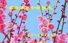 Published on 9/19/2013 ֹ,½󷨵ӹףʦ(48)
