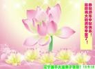 Published on 9/19/2013 ֹ,½󷨵ӹףʦ(45)
