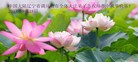Published on 9/19/2013 ֹ,½󷨵ӹףʦ(48)
