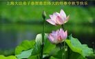 Published on 9/19/2013 ֹ,½󷨵ӹףʦ(33)
