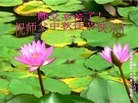 Published on 9/19/2013 ֹ,½󷨵ӹףʦ(48)
