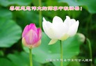 Published on 9/19/2013 ֹ,½󷨵ӹףʦ(44)
