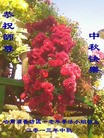 Published on 9/19/2013 ֹ,½󷨵ӹףʦ(35)
