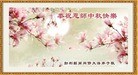 Published on 9/19/2013 ֹ,½󷨵ӹףʦ(35)
