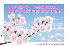 Published on 9/19/2013 ֹ,½󷨵ӹףʦ(35)

