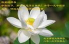 Published on 9/19/2013 ֹ,½󷨵ӹףʦ(37)

