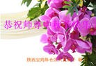 Published on 9/19/2013 ֹ,½󷨵ӹףʦ(35)
