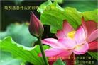 Published on 9/19/2013 ֹ,ࡢ󷨵Ӻ˹ףʦ(23)
