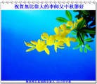 Published on 9/19/2013 ֹ,ࡢ󷨵Ӻ˹ףʦ(23)
