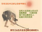 ֹ,󷨵ӹףʦ(25)
