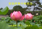 Published on 9/18/2013 ֹ,½󷨵ӹףʦ(37)
