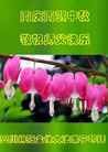 Published on 9/18/2013 ֹ,½󷨵ӹףʦ(37)
