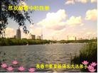 Published on 9/18/2013 ֹ,½󷨵ӹףʦ(31)
