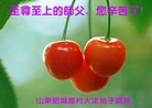 ֹ,½󷨵ӹףʦ(33)
