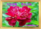 Published on 9/19/2013 ֹ,˹ףʦ(73)
