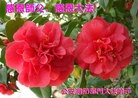 Published on 9/19/2013 ֹ,½˾ϵͳ󷨵ӹףʦ(27)
