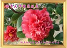 Published on 9/18/2013 ֹ,½Ӵ󷨵ӹףʦ

