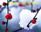 ֹ,½󷨵ӹףʦ(32)
