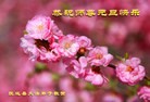 ֹ,½󷨵ӹףʦ(31)
