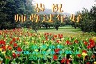 ֹ,մ󷨵ӹףʦ(20)
