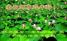 ֹ,մ󷨵ӹףʦã19
