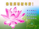 ֹ,󷨵ӹףʦ֣19
