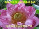 ֹ,󷨵ӹףʦã21
