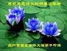 ֹ,󷨵ӹףʦã21
