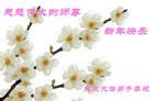 ֹ,󷨵ӹףʦã21
