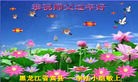ֹ,󷨵ӹףʦ(15)
