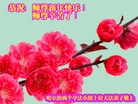 ֹ,󷨵ӹףʦ(15)
