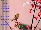 ֹ,ȷ󷨵ӹףʦ(30)
