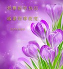 ֹ,մ󷨵ӹףʦ(22)
