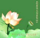 Published on 2/2/2014 ���ֹ�,����ҵ�󷨵��ӹ�ףʦ������(32��)
