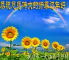 Published on 1/1/2016 ���ֹ�,��½�󷨵��ӹ�ףʦ���������(28��)
