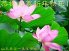 ֹ,½󷨵ӹףʦ(25)
