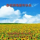 Published on 1/30/2014 ���ֹ�,��½�󷨵��ӹ�ףʦ���������(26��)
