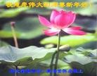 ֹ,󷨵ӹףʦ(27)
