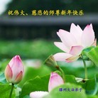 Published on 1/30/2014 ���ֹ�,��½�󷨵��ӹ�ףʦ���������(30��)
