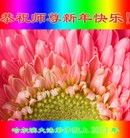 Published on 1/30/2014 ���ֹ�,��½�󷨵��ӹ�ףʦ���������(26��)
