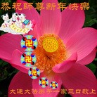 Published on 1/30/2014 ���ֹ�,��½�󷨵��ӹ�ףʦ���������(27��)
