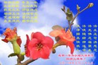 ֹ,ɶ󷨵ӹףʦ(28)
